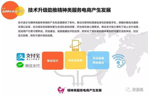 2017上半年中國精神類服務電商市場研究報告 教育咨詢服務的新機遇與挑戰