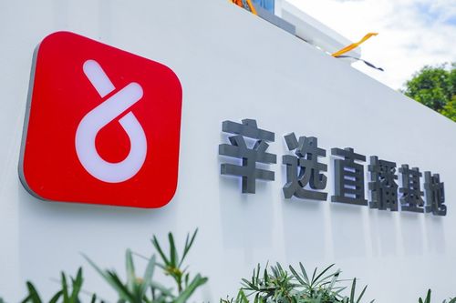 辛巴辛有志 以強(qiáng)大供應(yīng)鏈體系構(gòu)筑辛選護(hù)城河，賦能教育咨詢服務(wù)新生態(tài)